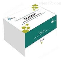大鼠基质（MMP-9/GelatinaseB）ELISA试剂盒