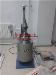 WHF-0.5L高温高压反应釜生产直销