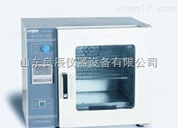 300BS-Ⅱ电热恒温干燥箱