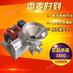 广州新款汽油磨粉机，雷迈新款汽油磨粉机多少钱