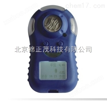 北京硫化氢检测仪GC10