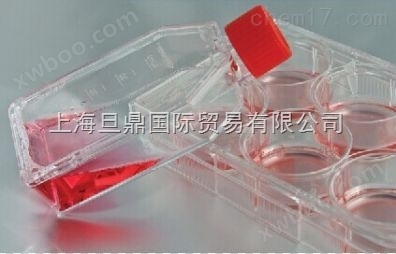 科晶191-0181细胞培养瓶，*细胞培养瓶