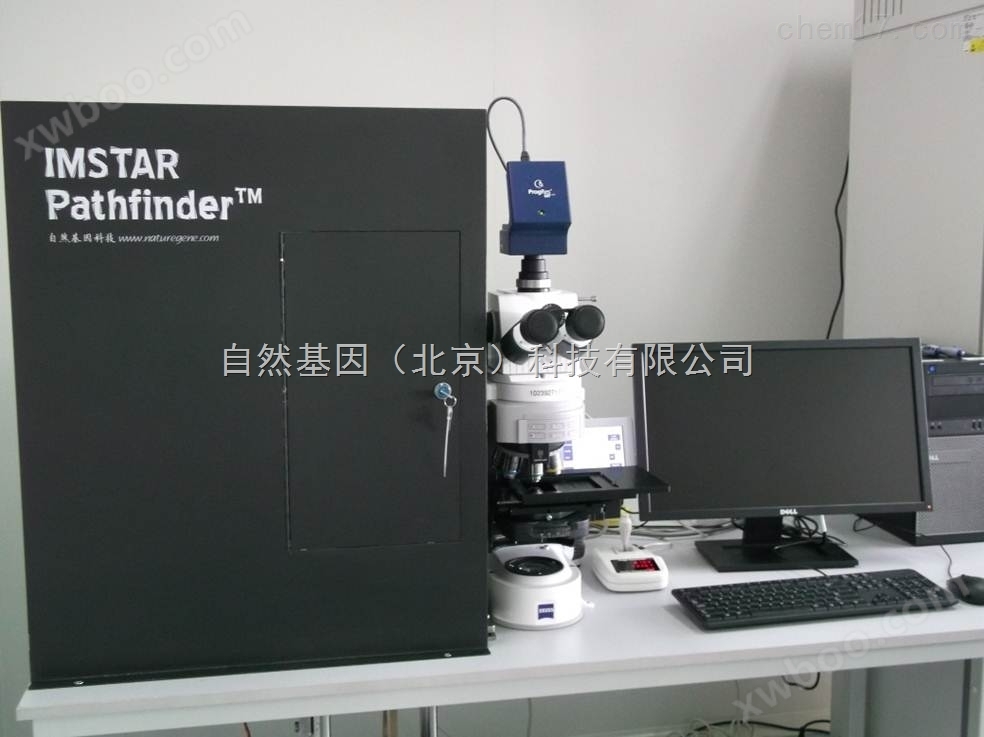 IMSTAR全自动微核扫描分析系统
