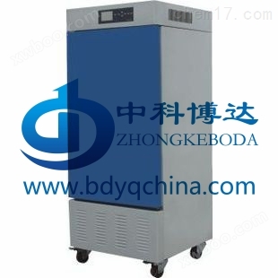 北京DP-100CL低温箱价格