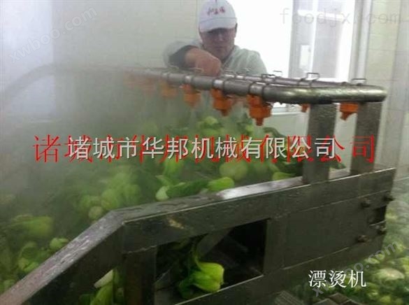 预煮机，蔬菜漂烫机，山东蔬菜漂烫机厂家