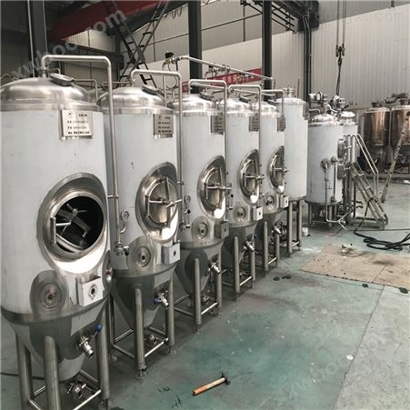 云南300升啤酒设备 酿酒机器