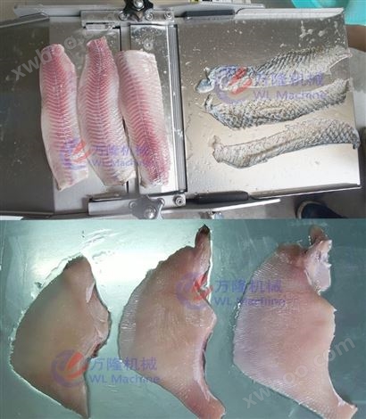 商用鲩鱼剥鱼皮机设备 智能鲩鱼去皮机台式