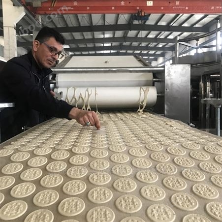 300~1200型全自动饼干生产线隧道炉
