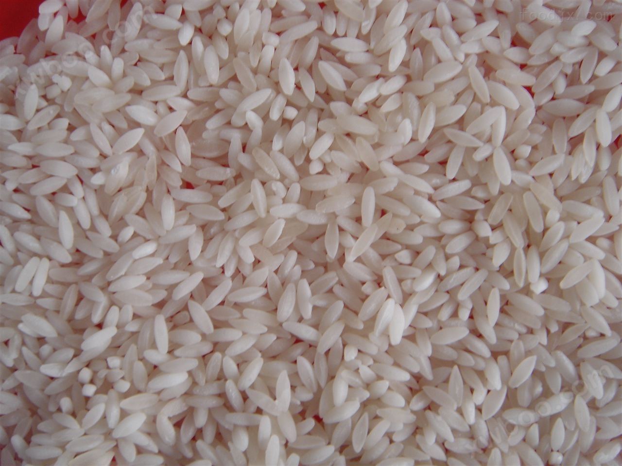 速食营养米生产线