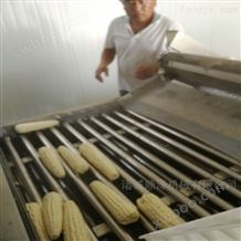 SZ4000甜玉米蒸煮加工设备 玉米加工流水线