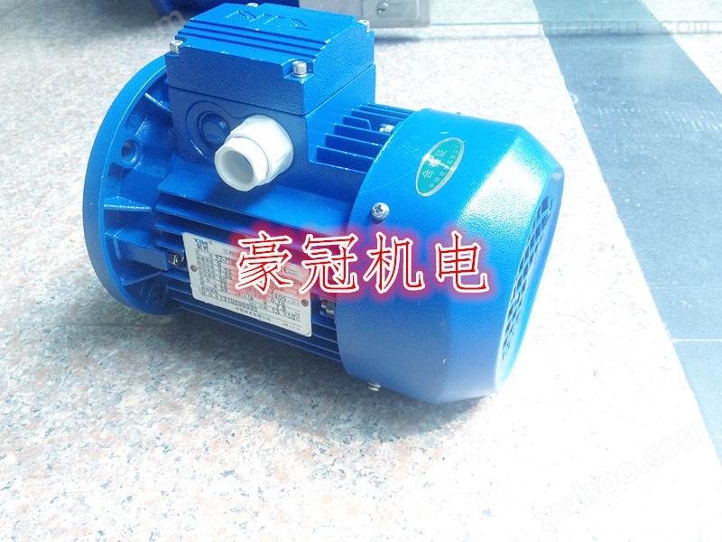 中研技术公司Ms100L-6紫光电机
