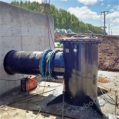 大口径潜水轴流泵 方案设计