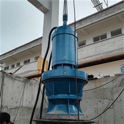 大功率潜水轴流泵 选型介绍