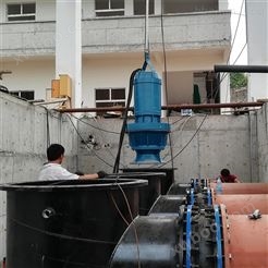 排灌泵站轴流泵厂家批发 旧泵站换泵