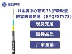 GYQFXTY73-2~12芯，非金属中心管式 73 护套轻型防雷防鼠光缆，室外光缆价格