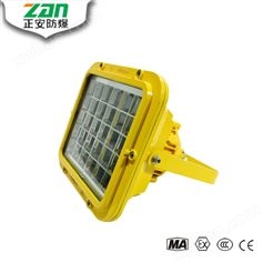 ZAD109 LED免维护防爆灯