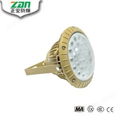 ZAD301 LED免维护防爆灯