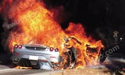 事故车辆技术鉴定（火烧车、爆胎、安全气囊）