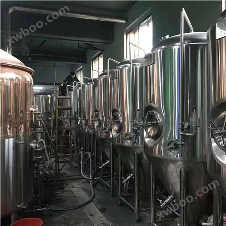 珠海1吨小型精酿原浆啤酒生产设备酿酒设备