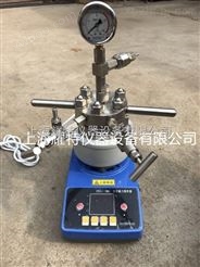 上海催化微型高压反应器