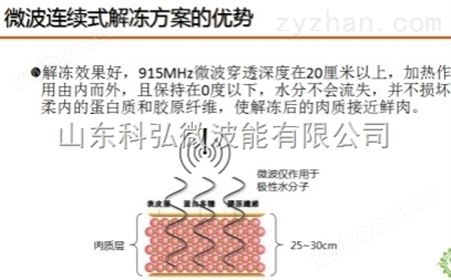 中国科弘微波羊肉915MHz隧道式解冻设备生产厂家