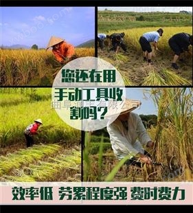 农用杂草收割机 水稻小麦收割机 多用途菜地割草机