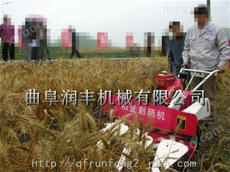 桂林市芦苇收割机 大型大辣椒收割机