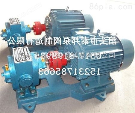 ZYB-29/4.0B高压燃油齿轮泵维护方便（可调压式）