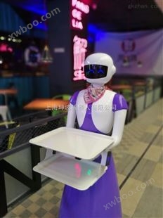 上海展会出租服务机器人