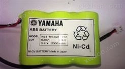 雅马哈Yamaha KS4-M53G0-102 Battery Robot Controllers原