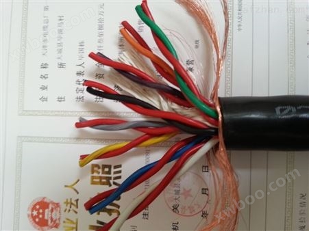 WDZ-HYA53铠装通信电缆