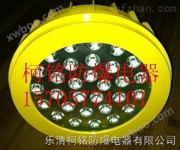 壁挂式LED防爆灯具30W