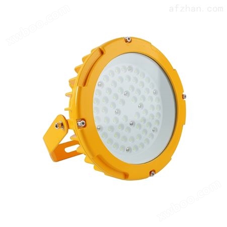 LED防爆灯高效节能吸顶灯泛光照明灯