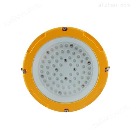 LED防爆灯高效节能吸顶灯泛光照明灯