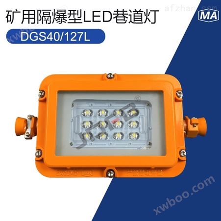 DGS40/127L(A)矿用隔爆型LED照明灯