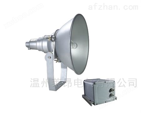 EBF203-250W_EBF203-400W防震型投光灯
