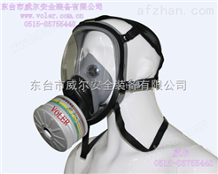 防硫化氢防毒面具，过滤式小型罐防毒全面罩
