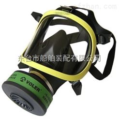 防毒面具全面罩防毒防尘全面具呼吸器面罩